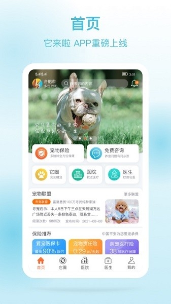 它来啦