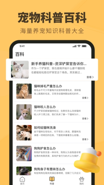 宠本本