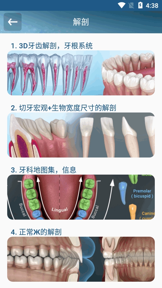 Dental Illustrations