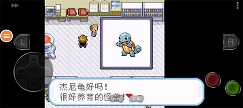 口袋妖怪叶绿版
