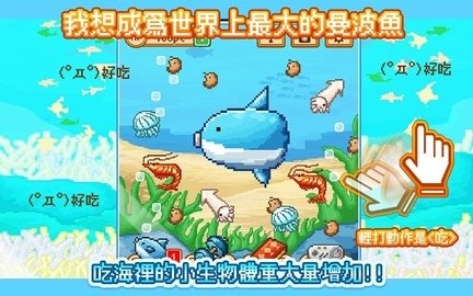 活下去曼波鱼(Molamola)