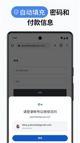 谷歌浏览器2024最新版(Chrome)