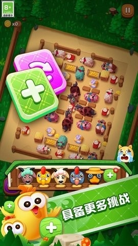 动物大聚会