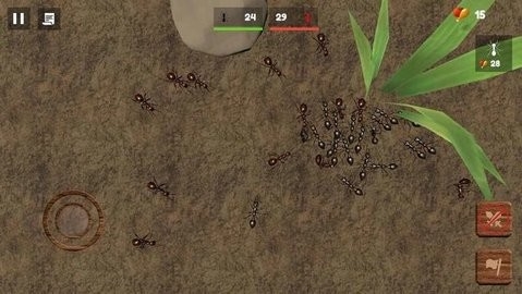 蚂蚁帝国(Ant Empire Simulator)