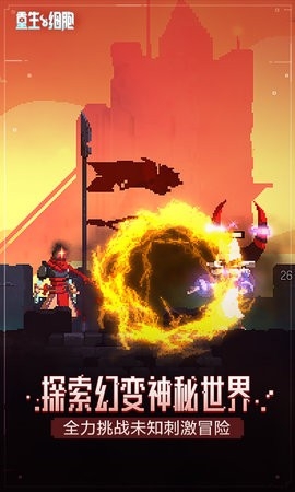 重生细胞2024