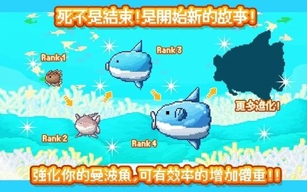 活下去曼波鱼(Molamola)