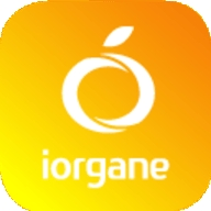 Iorgane cup