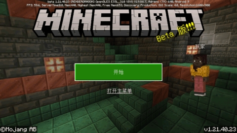 我的世界国际服(Minecraft)