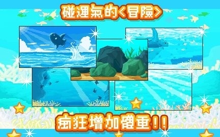 活下去曼波鱼(Molamola)