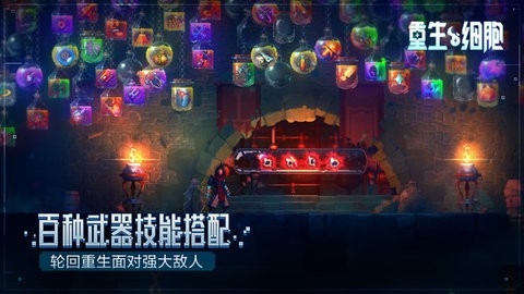 重生细胞官方正版