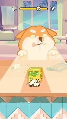 小猫捉迷藏