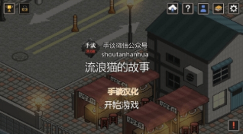 流浪猫的故事