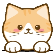 橘猫影视