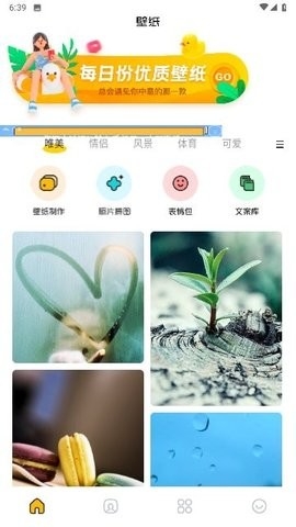 主题壁纸鸭