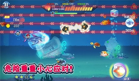 鱼吃鱼吞噬杀