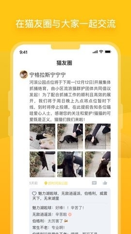 街猫最新版