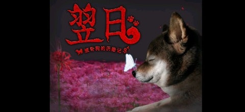 翌日奇狗的历险记安卓版