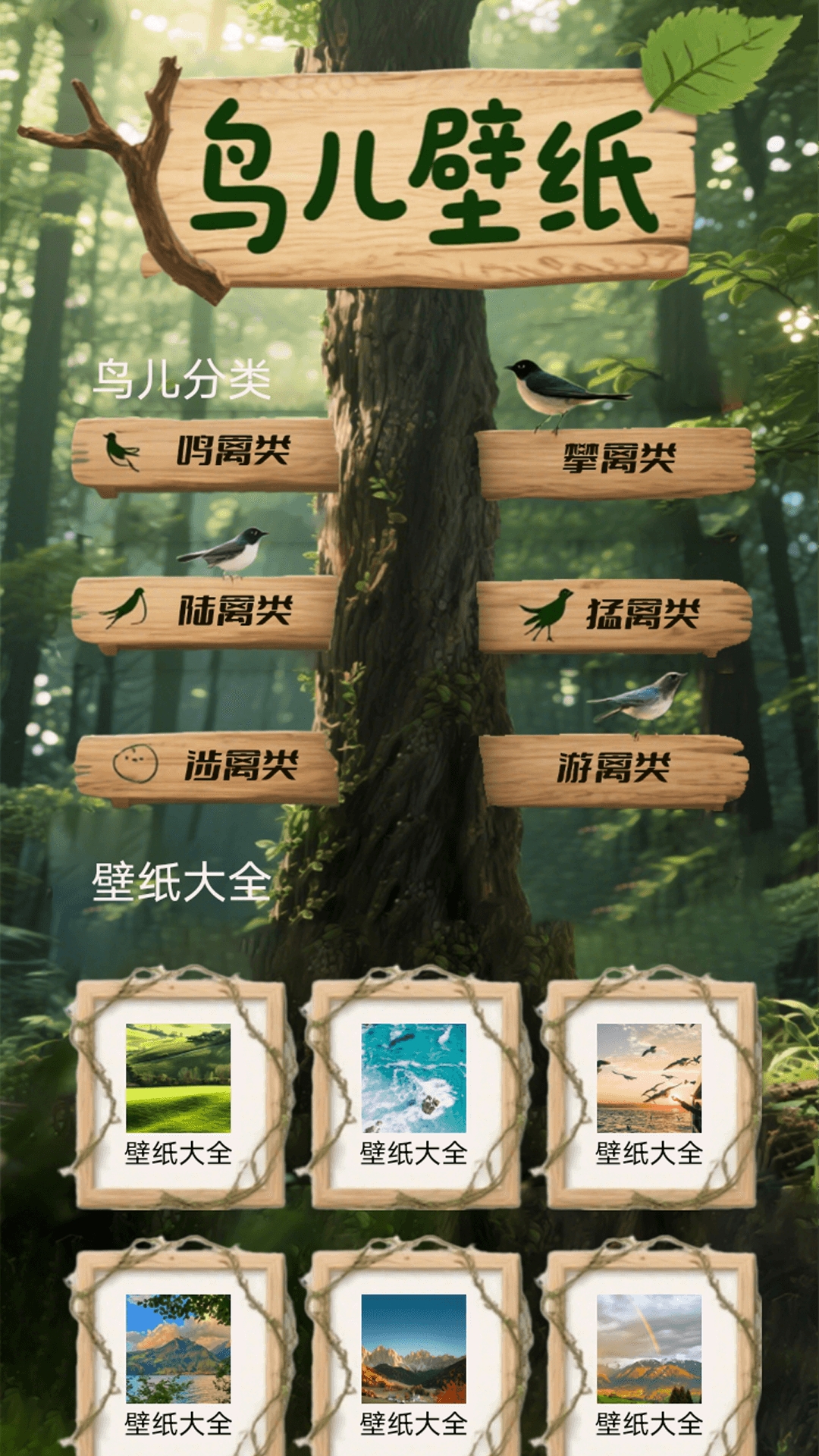 小鸟语翻译器