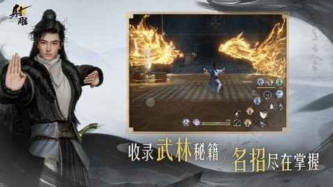 射雕