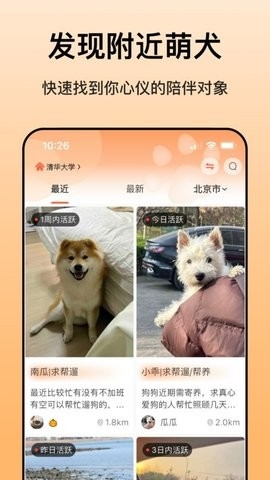 爱犬