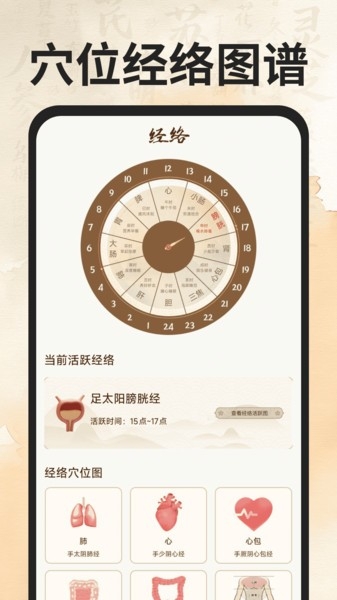 穴位经络图谱