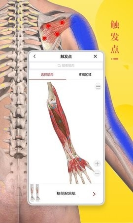 3Dbody解剖APP