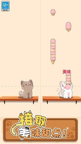 守护小猫