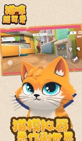 猫咪超可爱