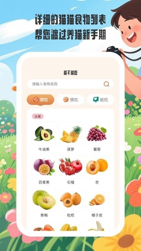 小猫陪伴手册