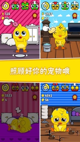 我的宠物小黄鸡