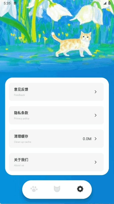 逗猫玩