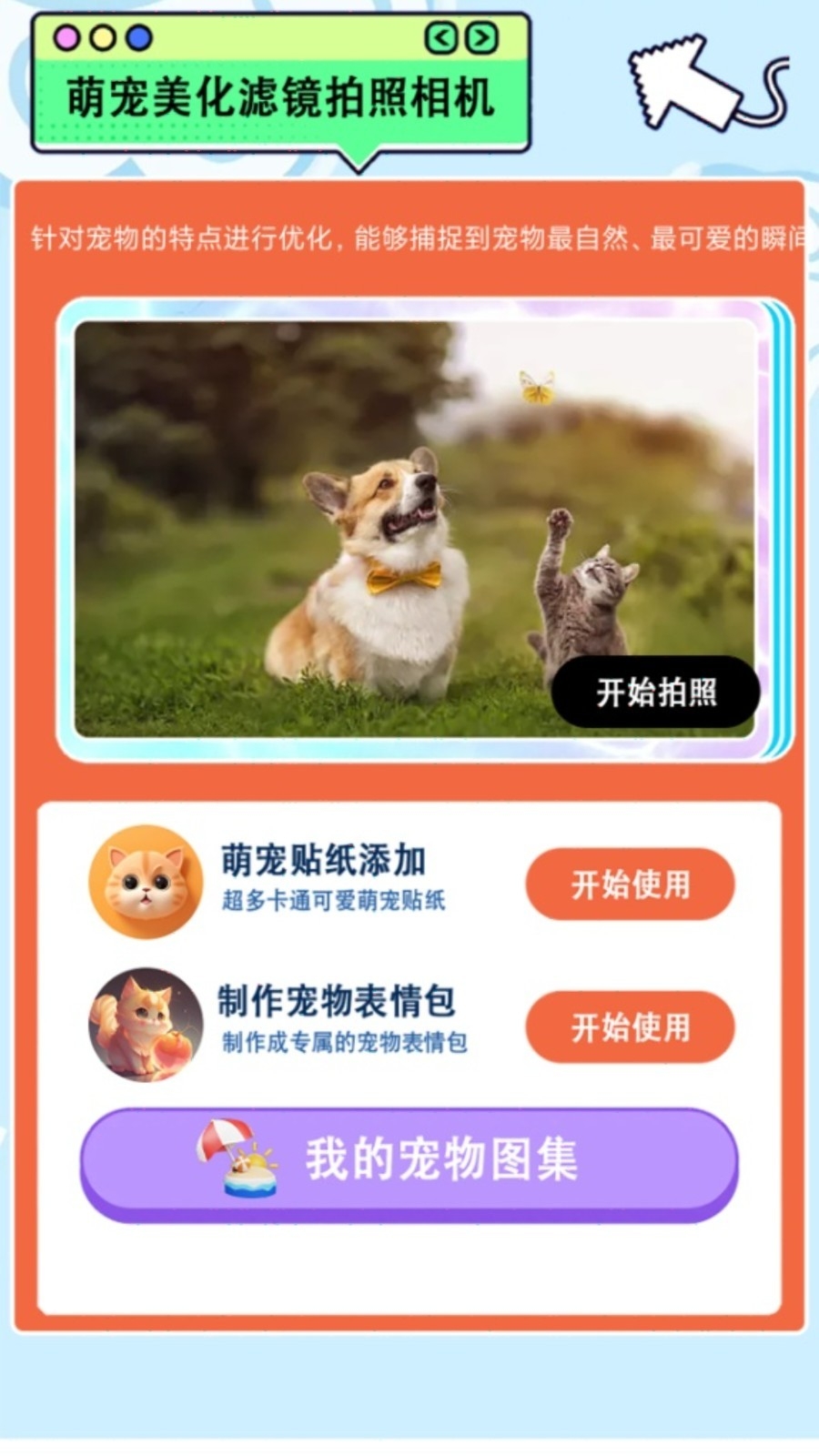 我的猫翻译