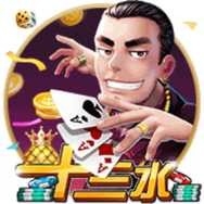 十三水棋牌软件平台