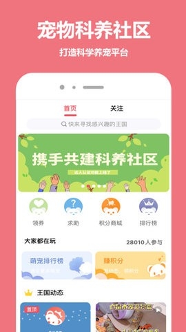 宠物王国