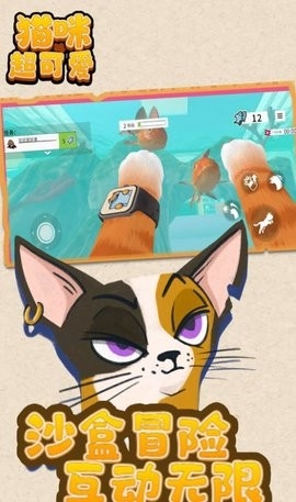 猫咪超可爱