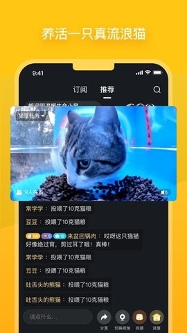 街猫最新版