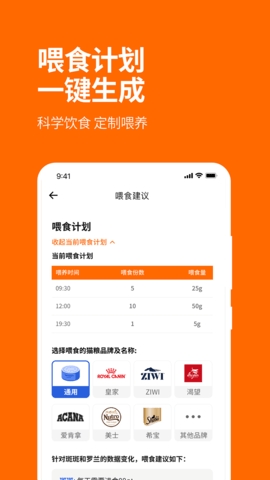 毛球FluffyGo