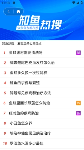 知鱼圈