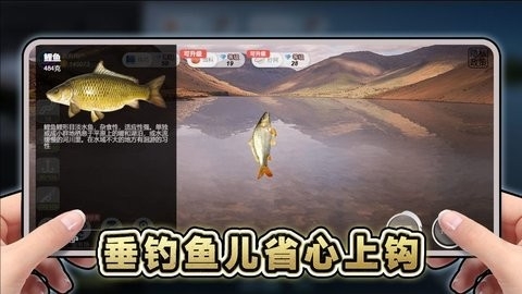 创游钓鱼佬