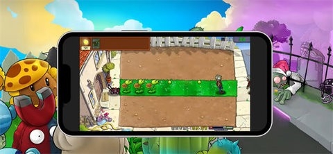 PVZ杂交版重置版