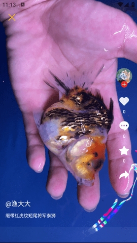 知鱼圈