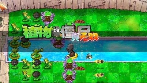 星痕共鸣