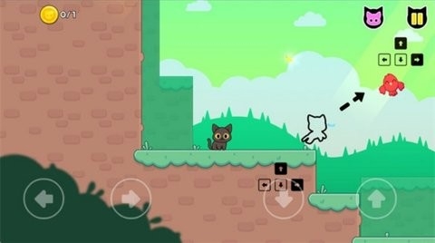 超绝小猫咪