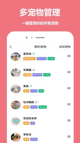 宠物王国
