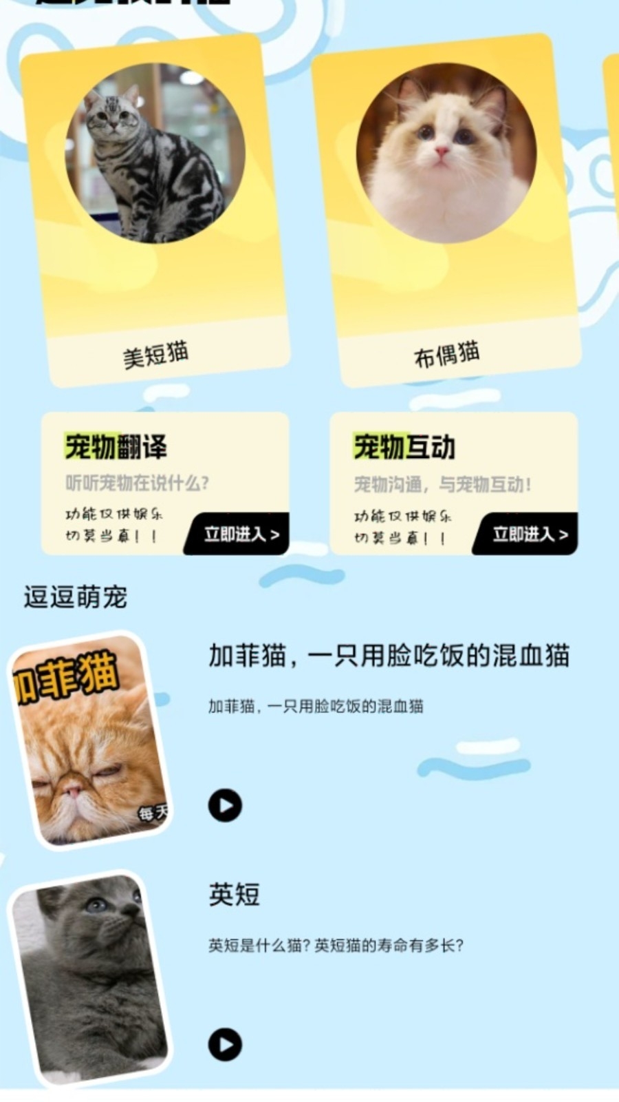 我的猫翻译