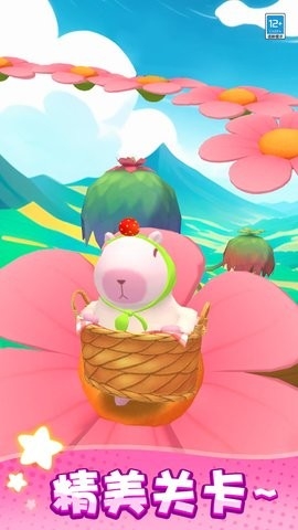 卡皮巴拉要上天