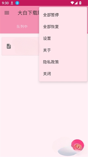 大白下载器
