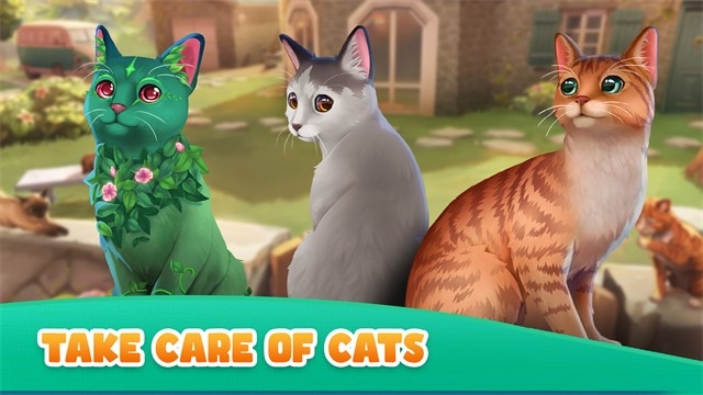 猫咪救援故事