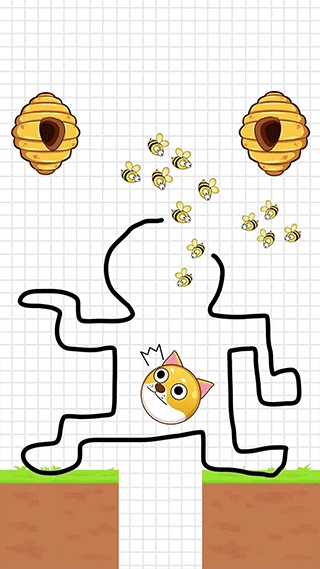 保护狗狗
