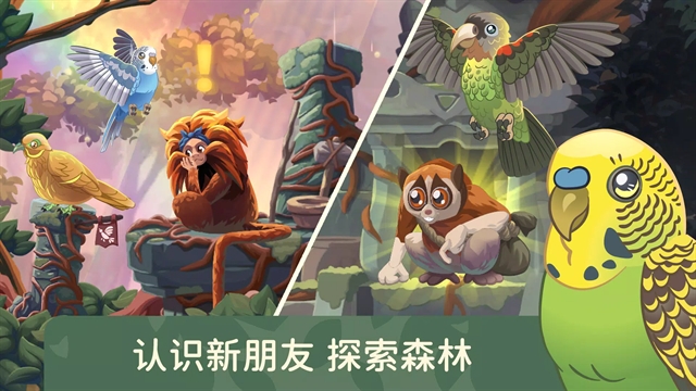 鸟类世界